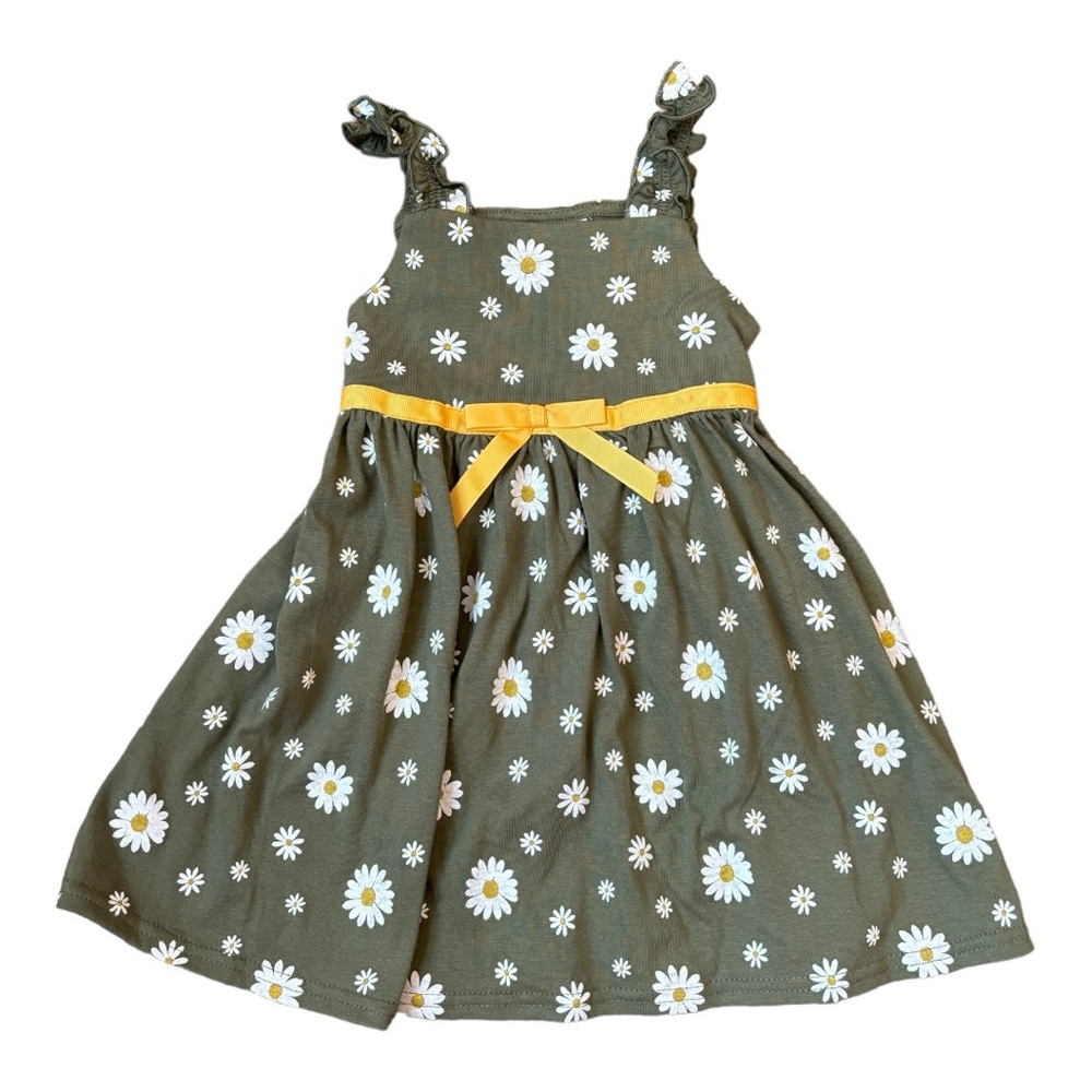 blueberi boulevard dress size 2t NWT
